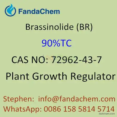 Brassinolide (BR)90%TC, 0.01%SP, 0.1%SP, CAS NO: 72962-43-7