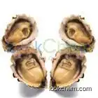 Ostrea edulis extract. Oyster Shell Extract.