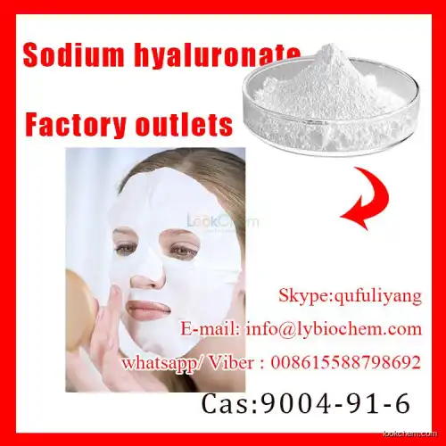 Skin Care Active Ingredient Sodium Hyaluronate