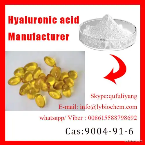Food Grade Sodium Hyaluronate CAS 9004-61-9