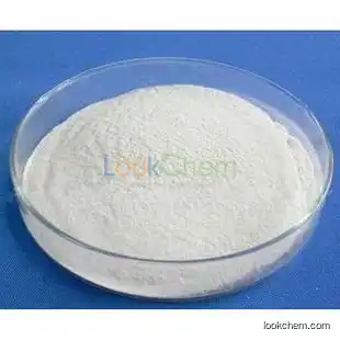 Bulk Stock and High Quality L-Carnitine Powder