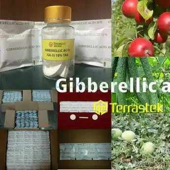 Bio-pesticicdes/ Plant Growth Regularor (PGR) : Gibberellic Acid (GA-3) / High quality / Terrastek)(77-06-5)