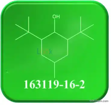 CAS NO.163119-16-2      2,6-Bis-tert-butyl-4-methylcyclohexanol