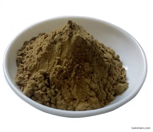 Senna Leaf Extract Sennosides(81-27-6)
