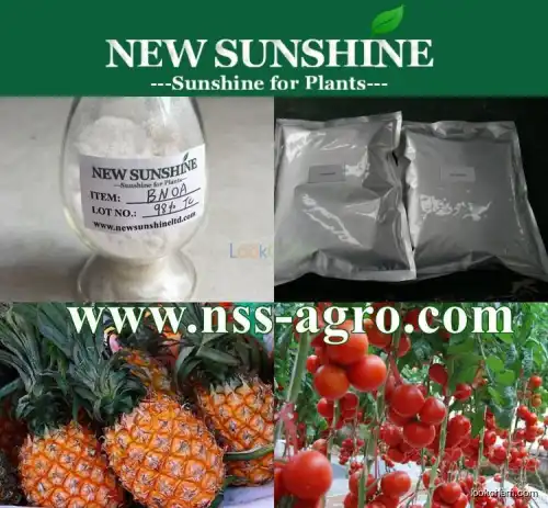 Agricultural adjuvant b-Naphthoxyacetic acid, BNOA 98% Tech(120-23-0)