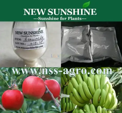 High effect natural Brassinolide for plant growth hormone(72962-43-7)