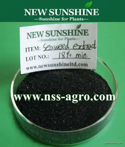 China Manufacturer Seaweed Extract Powder for Organic Fertilizer
