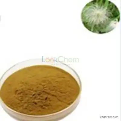 Manufacturer bulk sale anemone Root extracts/Chinese Pulsatilla Root P.E