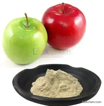 Manufacturer supply  Apple extracts