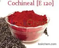 Cochineal, Natural Food Pigment