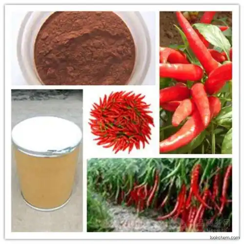 100% Nature Chili pepper extract 10%-95% Capsaicin powder