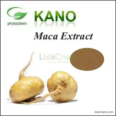 Maca Root Powder/Maca Extract
