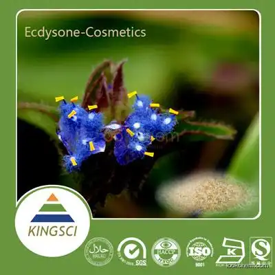 Top quality Cyanotis arachnoidea Extract 20-Hydroxyecdysone, Ecdysterone(5289-74-7)