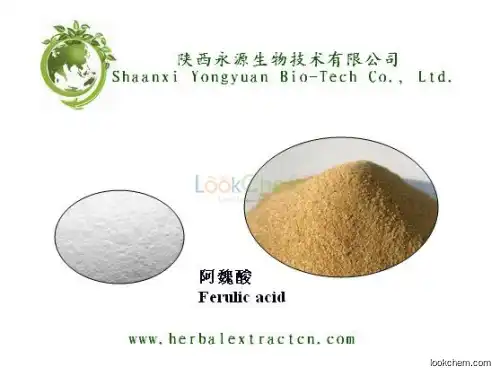 Chinese manufacturer Ferulic acid 98%, top quality rice bran shell, Ferula assafoetida L(1135-24-6)
