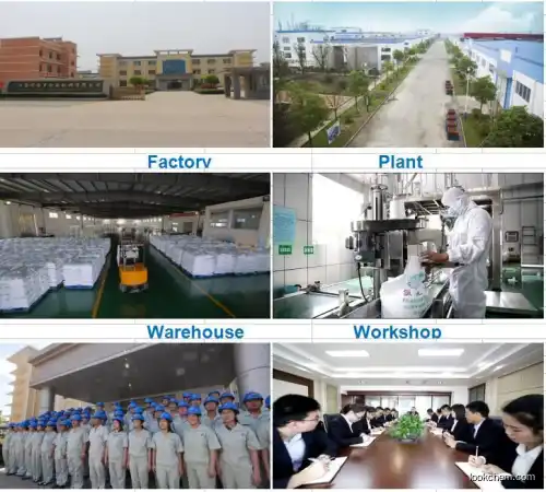 Jiangsu Kolod manufacturer Pharma Grade BP Zinc Acetate