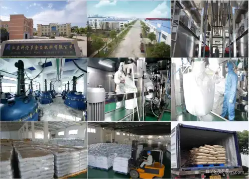 Jiangsu Kolod manufacturer Pharma Grade BP Zinc Acetate