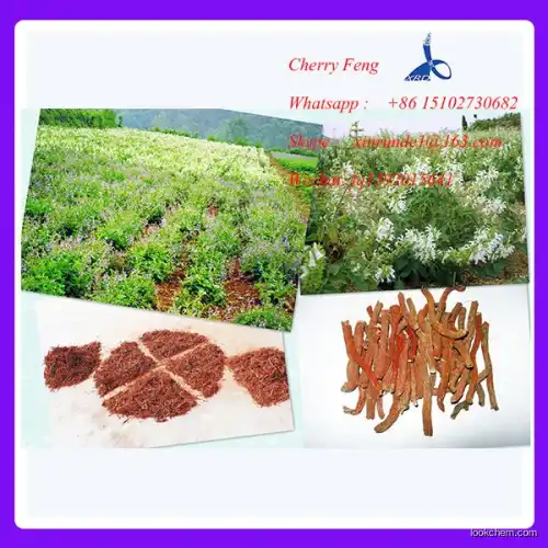 Smoke Tree Organic Plant Extracts 50-98 % Fisetin Powder Cotinus Coggygria Extract