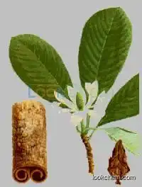 factory Magnolia Extract, Magnolol 40%-98% , Honokiol 2%-99%, CAS No.: 528-43-8(35354-74-6)