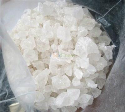 Essay paper on pharmacy technology group