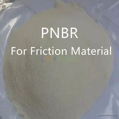 ISO 9001 Factory Acrylonitrile/Butadiene Copolymer Rubber Powder(PNBR-03) For Friction Material(9003-18-3)
