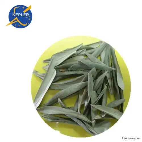 Olive Leaf Extract(32619-42-4)
