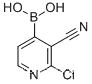 TIANFUCHEM--	2-CHLORO-3-CYANOPYRIDIN-4-YLBORONIC ACID
