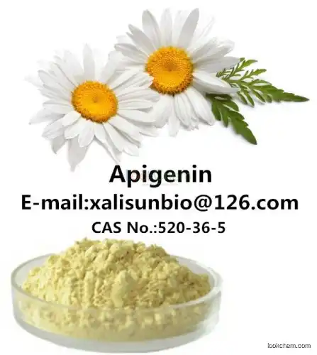 Natural Chamomile Extract Apigenin 98% in Bulk Supply