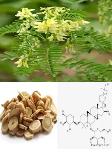 Astragaloside IV 0.3%-98% HPLC, Astragalus root Extract, STABLE QUALITY(84687-43-4)