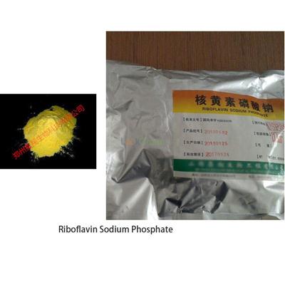factory supply riboflavin 5 phosphate sodium vitamin b2