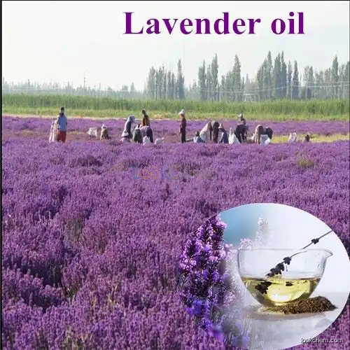 100% Pure Flavour and fragrance pure natural lavender oil essential for body massage oil