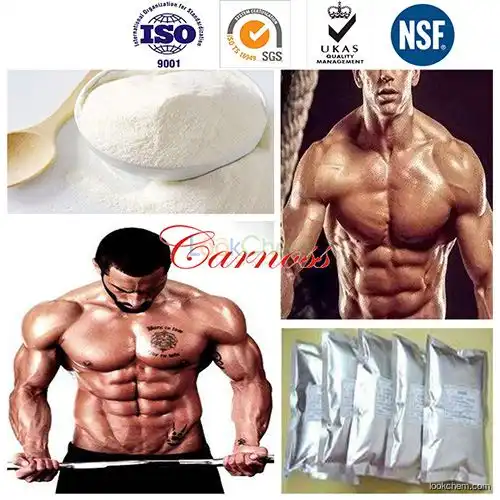 1255-49-8 Cutting Cycle Steroids Testosterone / Testosterone Phenylpropionate(1255-49-8)