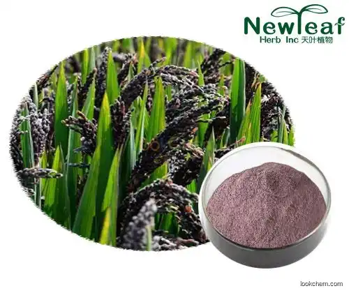 Natural Organic Anthocyanin Black Rice Extract(13306-05-3)