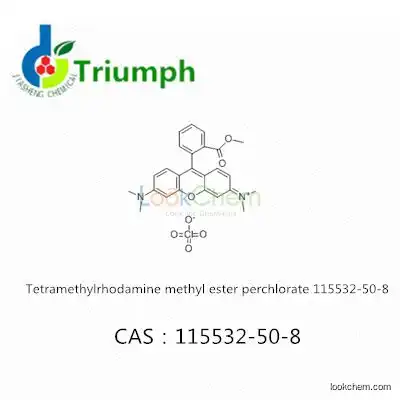 Tetramethylrhodamine methyl ester perchlorate 115532-50-8