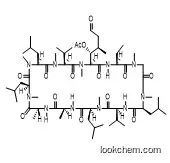 6-[(3R,4R)-3-(Acetyloxy)-N,4-dimethyl-6-oxo-L-norleucine] Cyclosporin A manufacturer
