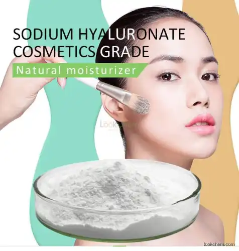 Sodium Hyaluronate Powder Raw Material Cosmetics Grade Price(9067-32-7)