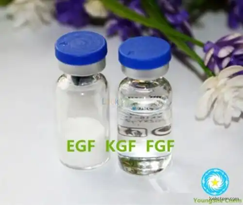 Cosmetic peptide rh-aFGF Recombinant Human Acidic Fibroblast Growth Factor