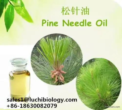 Pine Oil with Best Price, CAS # 8002-09-3