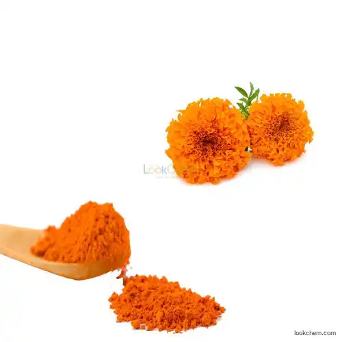 High Purity marigold extract Lutein and Zeaxanthin Powder UV/HPLC 5%-90%