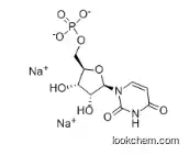 Disodium uridine-5'-monophosphate Manufacturer
