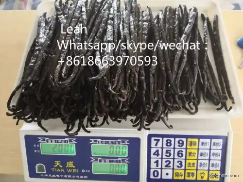 Hot sale vanilla beans with reasonable price and fast delivery