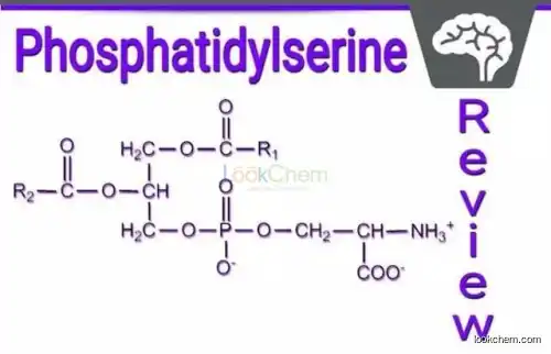 Phosphatidylserine(84776-79-4)
