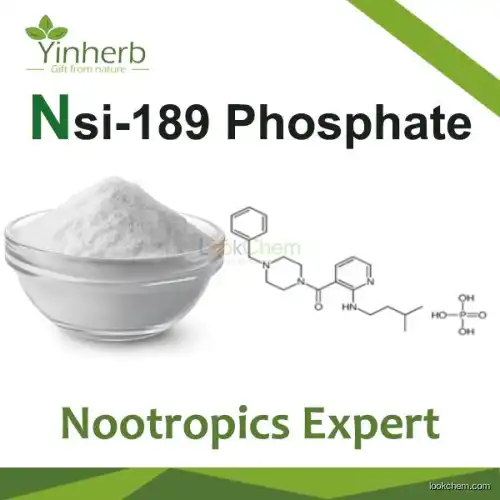 NSI-189 Phosphate Nootropics powder(1270138-40-3)