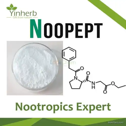 Noopept Nootropics powder(157115-85-0)