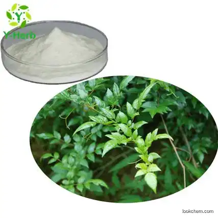 50% 98% Vine Tea Extract Dihydromyricetin Powder(27200-12-0)
