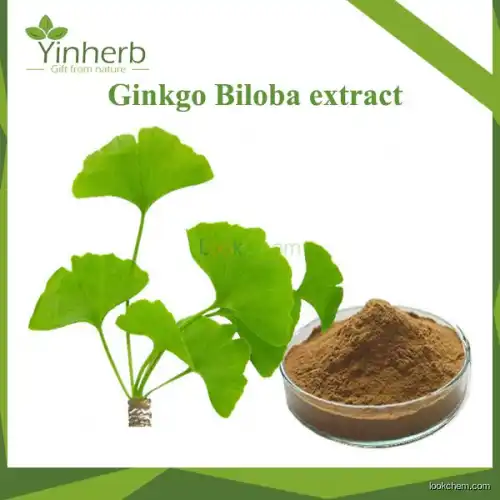 Ginkgo Biloba extract(90045-36-6)
