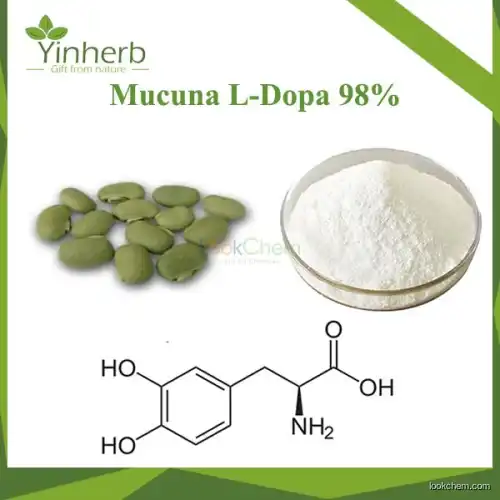 Mucuna L-Dopa 98%(59-92-7)