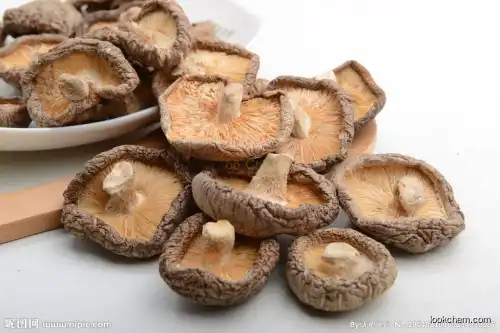 Mushroom extract