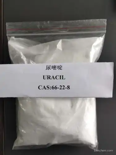 Uracil 2,4-Dihydroxypyrimidine