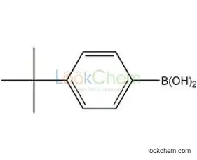 4-tert-Butylphenylboronic acid(123324-71-0)