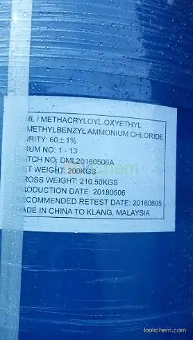 Methacryloyl oxy ethyl dimethylbenzyl ammonium 46917-07-1